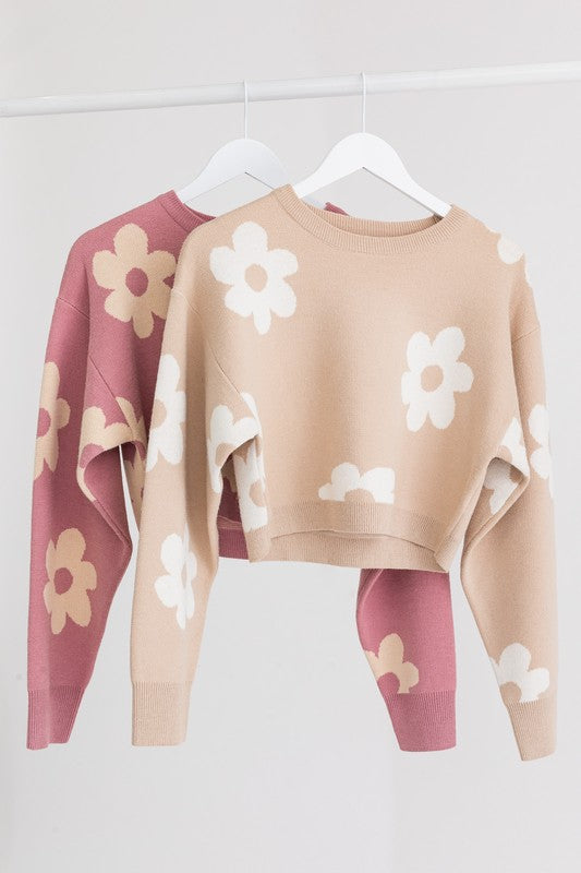 Daniela Long Sleeve Crop Sweater