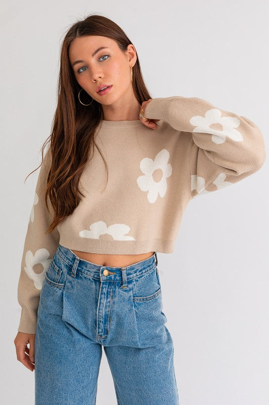 Daniela Long Sleeve Crop Sweater